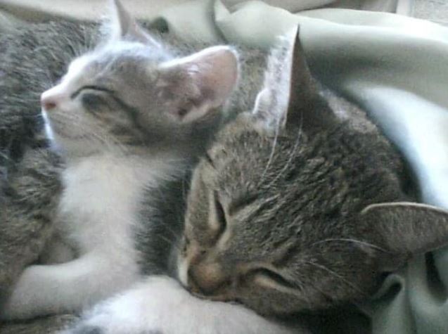 A Parents Love&nbsp;…