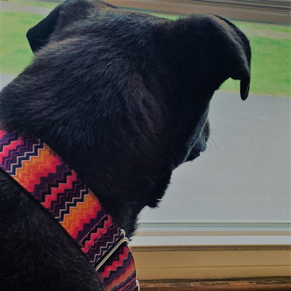 Rain must fall&nbsp;…