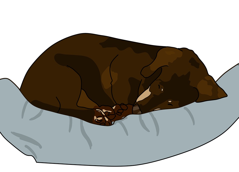 The Ominous Dark&nbsp;Noise